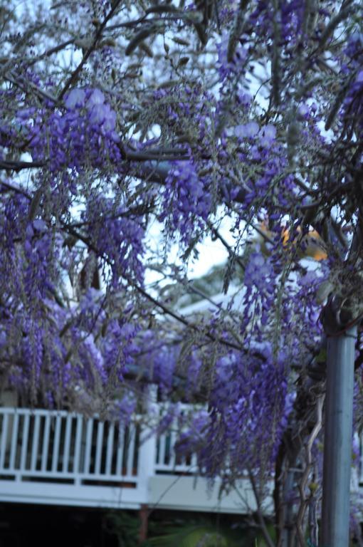 Guildford River Retreat パース エクステリア 写真