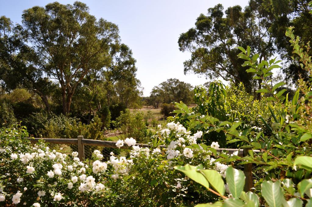 Guildford River Retreat パース エクステリア 写真